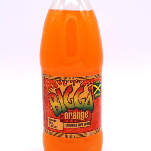 Bigga Soda Orange 24x20oz